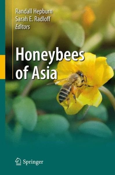 Honeybees of Asia - H Randall Hepburn - Books - Springer-Verlag Berlin and Heidelberg Gm - 9783642422829 - October 11, 2014