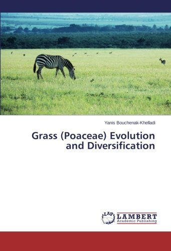 Cover for Yanis Bouchenak-khelladi · Grass (Poaceae) Evolution and Diversification (Paperback Book) (2014)