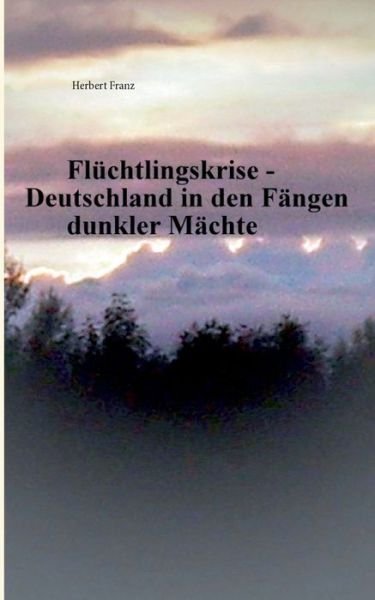 Cover for Franz · Flüchtlingskrise - Deutschland in (Bok) (2016)