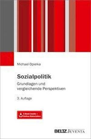 Cover for Opielka · Sozialpolitik (Bog)
