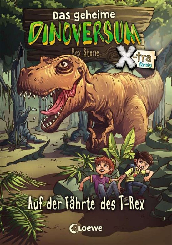 Cover for Stone · Das geheime Dinoversum Xtra,Auf d (Bog)