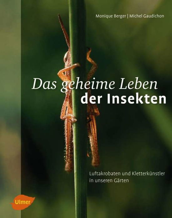 Cover for Berger · Das geheime Leben der Insekten (Book)