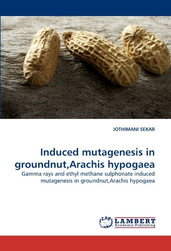 Cover for Jothimani Sekar · Induced Mutagenesis in Groundnut,arachis Hypogaea: Gamma Rays and Ethyl Methane Sulphonate Induced Mutagenesis in Groundnut,arachis Hypogaea (Paperback Bog) (2010)