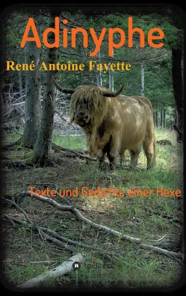 Cover for René Antoine Fayette · Adinyphe (Hardcover Book) [German edition] (2014)