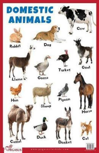 Cover for Pegasus · Domestic Animals Educational Chart (Poster) (2021)