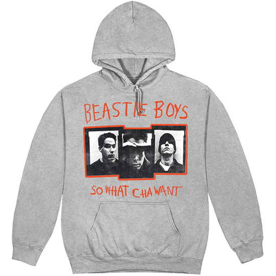 Cover for Beastie Boys - The · The Beastie Boys Unisex Pullover Hoodie: So What Cha Want (Grey) (Hoodie)