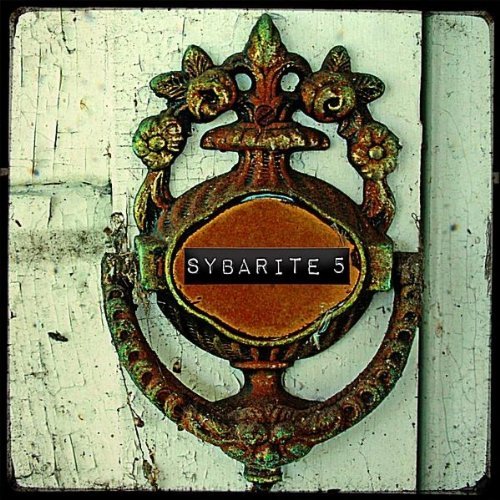 Cover for Sybarite5 · Disturb the Silence (CD) (2010)