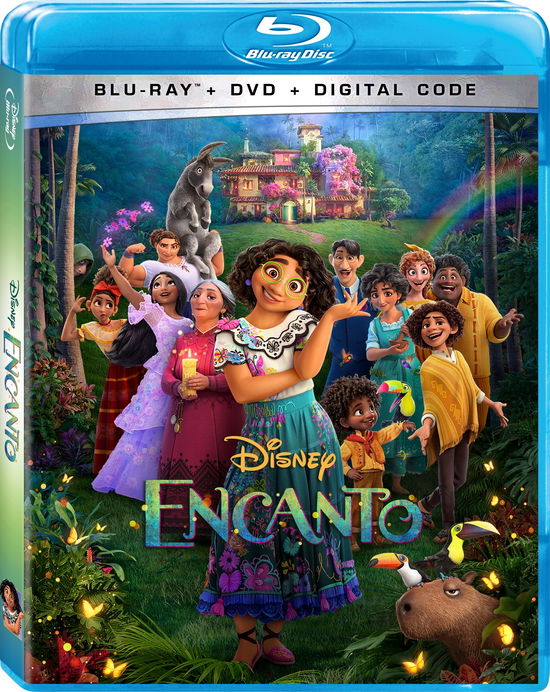 Encanto - Encanto - Movies - ACP10 (IMPORT) - 0786936893830 - February 8, 2022