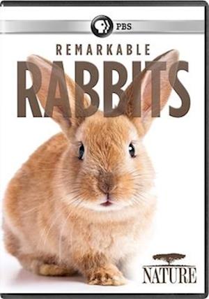 Nature: Remarkable Rabbits (DVD) (2020)