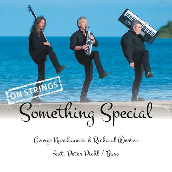 Something Special-on Strings - Nussbaumer,george & Wester,richard Feat. Pichl,pet - Musik - MONOPOL-GER - 4013809413830 - 14. september 2018