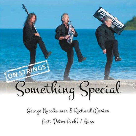 Something Special-on Strings - Nussbaumer,george & Wester,richard Feat. Pichl,pet - Musik - MONOPOL-GER - 4013809413830 - 14. september 2018