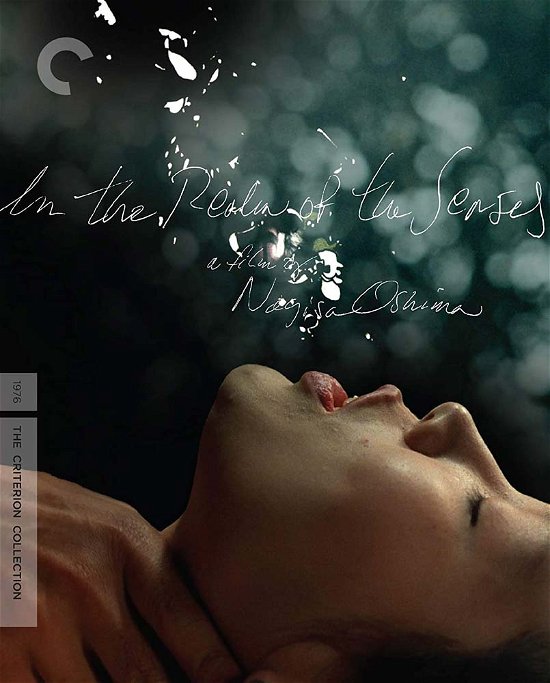 Cover for In the Realm of the Senses Aka Empi · In The Realm Of The Senses (Blu-ray) (2022)