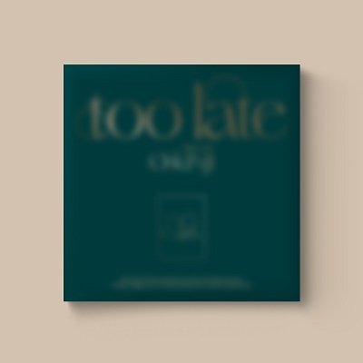 Too Late - Chunji - Musikk - TOP MEDIA - 8803581202830 - 6. januar 2023