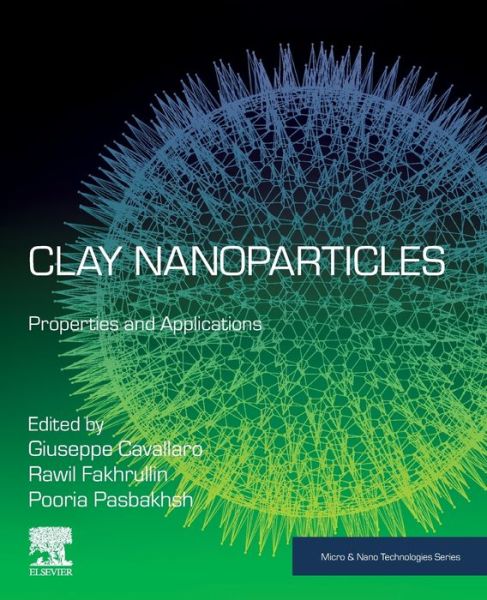 Cover for Giuseppe Cavallaro · Clay Nanoparticles: Properties and Applications - Micro &amp; Nano Technologies (Paperback Book) (2020)