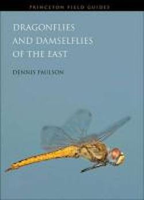 Cover for Dennis Paulson · Dragonflies and Damselflies of the East - Princeton Field Guides (Paperback Book) (2012)