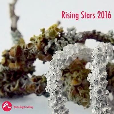 Cover for New Ashgate Gallery · Rising Stars 2016 (Pocketbok) (2016)