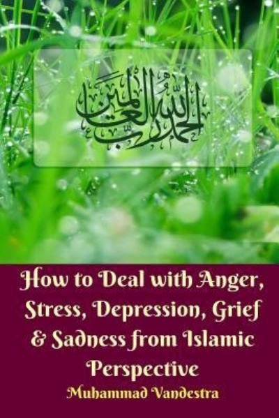 Cover for Muhammad Vandestra · How to Deal With Anger, Stress, Depression, Grief and Sadness from Islamic Perspective (Paperback Bog) (2024)
