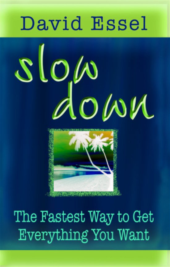 Cover for David Essel · Slow Down (Paperback Book) (2011)