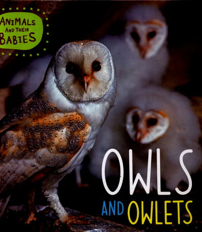 Animals and their Babies: Owls & Owlets - Animals and their Babies - Annabelle Lynch - Books - Hachette Children's Group - 9781445148830 - June 9, 2016