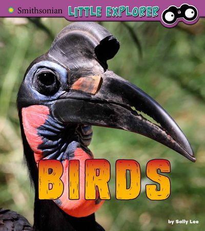 Cover for Sally Lee · Birds (Gebundenes Buch) (2018)