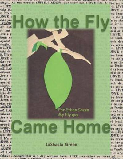 Cover for Lashasta Green · How the Fly Came Home (Paperback Bog) (2015)