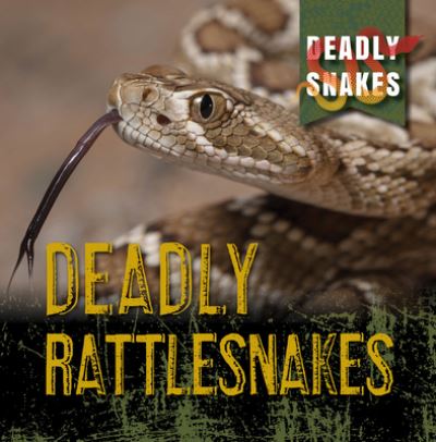 Deadly Rattlesnakes - Monika Davies - Inne - Stevens Publishing LLLP, Gareth - 9781538279830 - 30 lipca 2022