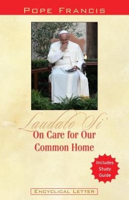 Cover for Pope Francis · On Care for Our Common Home: Laudato Si' (Paperback Bog) (2015)