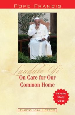 Cover for Pope Francis · On Care for Our Common Home: Laudato Si' (Paperback Book) (2015)