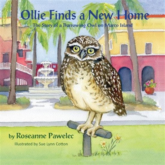 Cover for Roseanne Pawelec · Ollie Finds a New Home, the Story of a Burrowing Owl on Marco Island (Paperback Book) (2015)