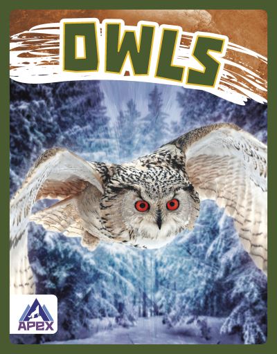 Birds of Prey: Owls - Golriz Golkar - Books - North Star Editions - 9781637381830 - 2022