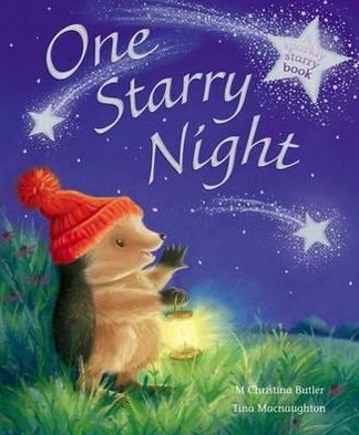 Cover for M Christina Butler · One Starry Night - Little Hedgehog (Hardcover Book) [UK edition] (2012)