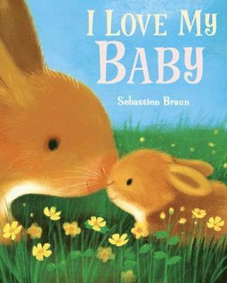 Cover for Sebastien Braun · I Love My Baby (Paperback Book) (2019)