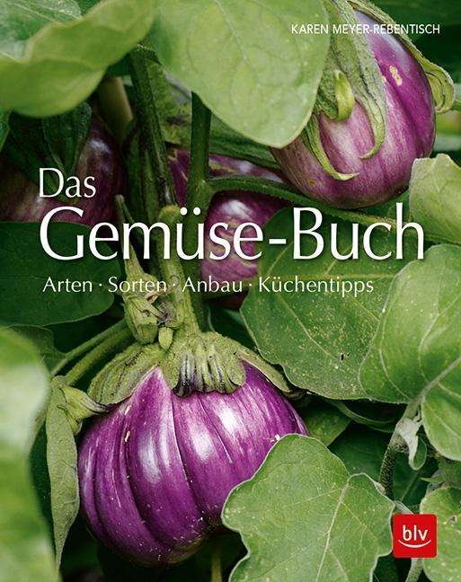 Cover for Meyer-Rebentisch · Das Gemüse-Buch (Book)