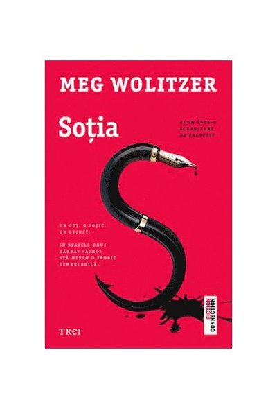Cover for Meg Wolitzer · Sotia (Book) (2019)