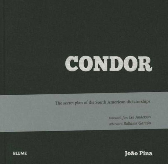 Cover for Joao Pina · Condor (Hardcover Book) (2015)