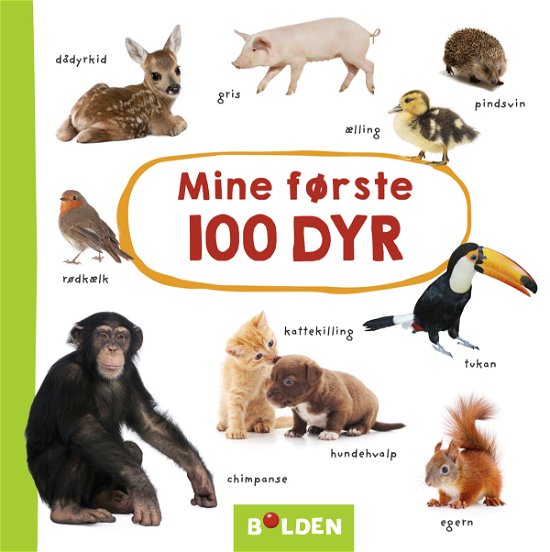 Mine første 100: Mine første 100 dyr -  - Kirjat - Forlaget Bolden - 9788772052830 - perjantai 24. huhtikuuta 2020
