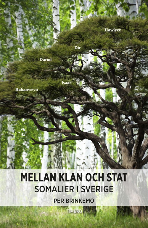 Cover for Per Brinkemo · Mellan klan och stat (Book) (2014)