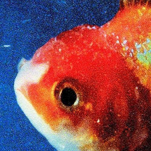 Cover for Vince Staples · Big Fish Theory (LP) (2017)