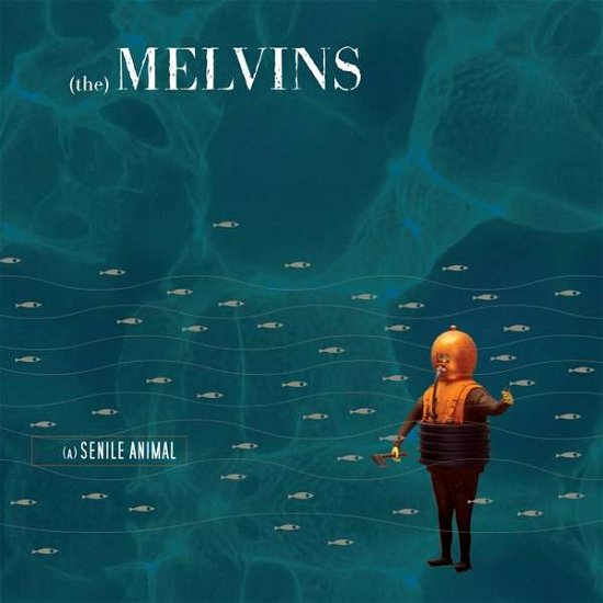 Cover for Melvins · Senile Animal (LP) (2021)