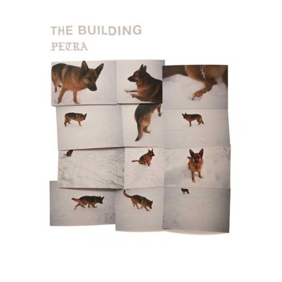 Cover for Building · Petra (LP) (2022)