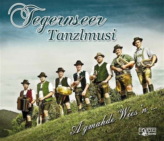 Cover for Tegernseer Tanzlmusi · A Gmahde Wiesn... (CD) (2014)
