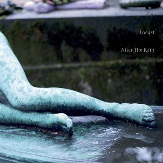 Cover for Locust · After the Rain (LP) (2014)