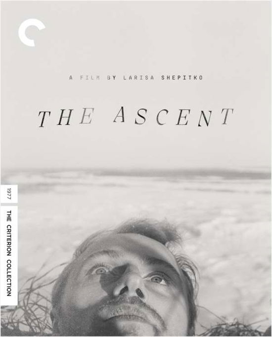 Cover for The Ascent 1977 (Blu-Ray) (2021)