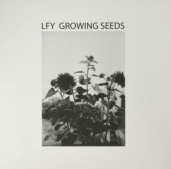 Growing Seeds - Lust For Youth - Muziek - AVANTI - 8016670150831 - 17 juni 2021