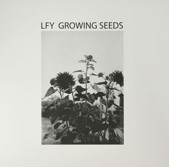 Cover for Lust For Youth · Growing Seeds (LP) (2021)
