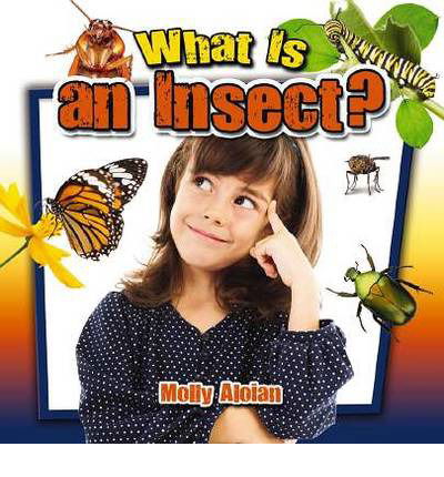 Cover for Molly Aloian · What is an insect? - Insects Close-Up (Paperback Book) (2013)