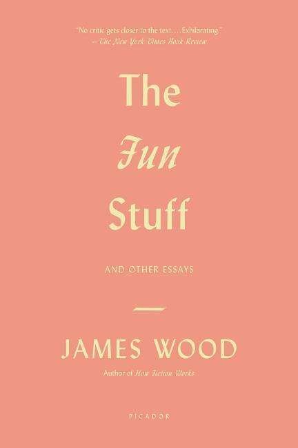 Cover for James Wood · The Fun Stuff: and Other Essays (Pocketbok) (2013)