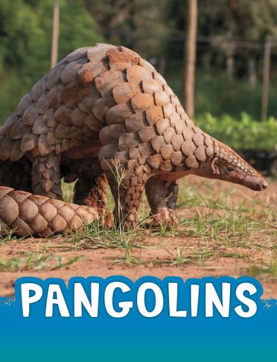 Cover for Jaclyn Jaycox · Pangolins - Animals (Paperback Book) (2023)