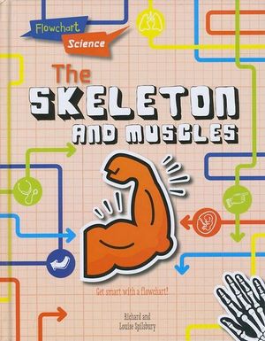 Cover for Louise Spilsbury · The Skeleton and Muscles - Flowchart Science: The Human Body (Hardcover Book) (2018)