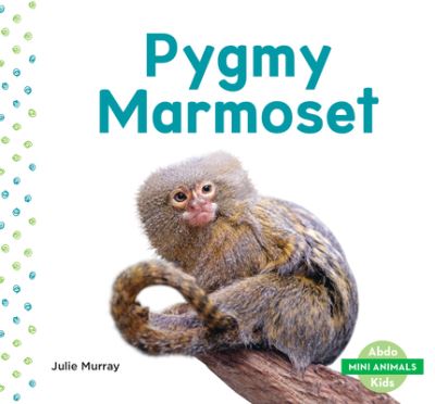 Pygmy Marmoset - Julie Murray - Books - ABDO Publishing Co - 9781532188831 - December 15, 2019